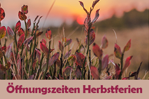 Zum Artikel "Öffnungszeiten Herbstferien"